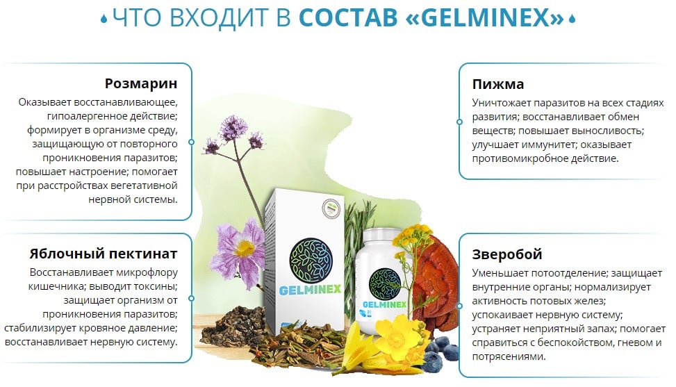 Как восстановить нервную систему отзывы. Противогельминтный сбор состав. урофорс отзывы.